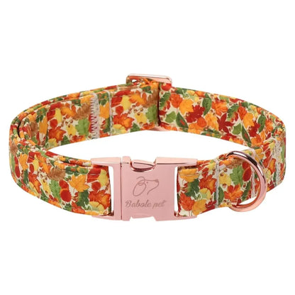 Fall Pumpkin Latte Print Adjustable Heavy-Duty Small Dog Collar with Metal Buckle, XS Size