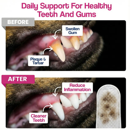 Dr. Paws: Pet Care Finger Wipes for Dogs & Cats – Dental Cleaning, Ear Cleaner & Eye Care Wipes | Removes Plaque, Bad Breath, Tear Stains & Ear Wax | Hypoallergenic No-Rinse Grooming Wipes