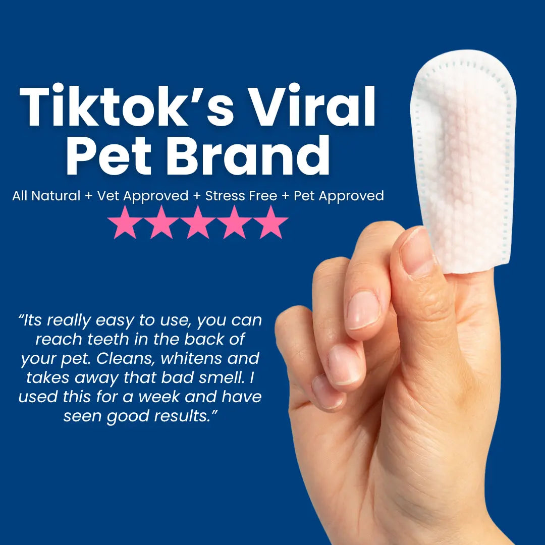 Dr. Paws: Pet Care Finger Wipes for Dogs & Cats – Dental Cleaning, Ear Cleaner & Eye Care Wipes | Removes Plaque, Bad Breath, Tear Stains & Ear Wax | Hypoallergenic No-Rinse Grooming Wipes