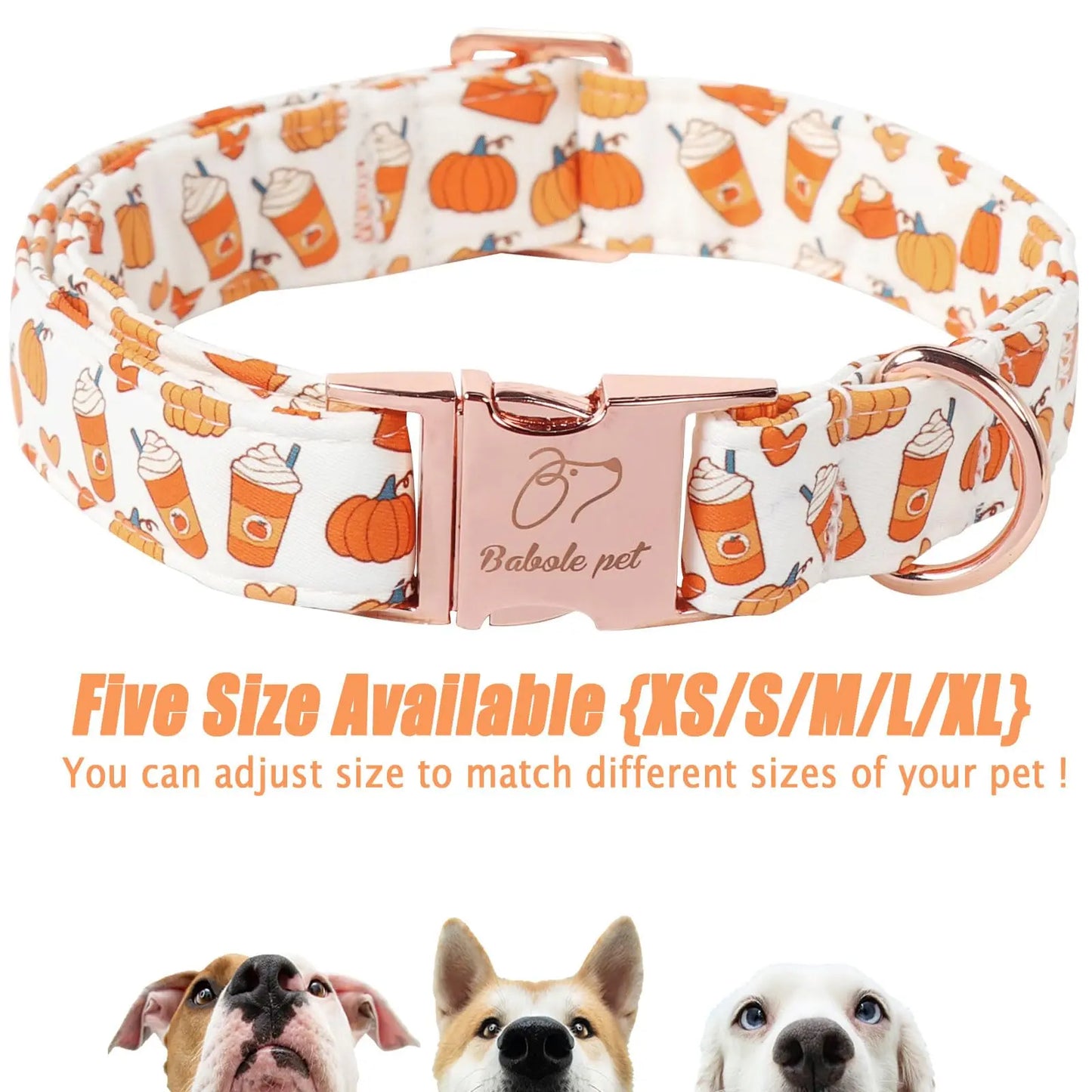 Fall Pumpkin Latte Print Adjustable Heavy-Duty Small Dog Collar with Metal Buckle, XS Size