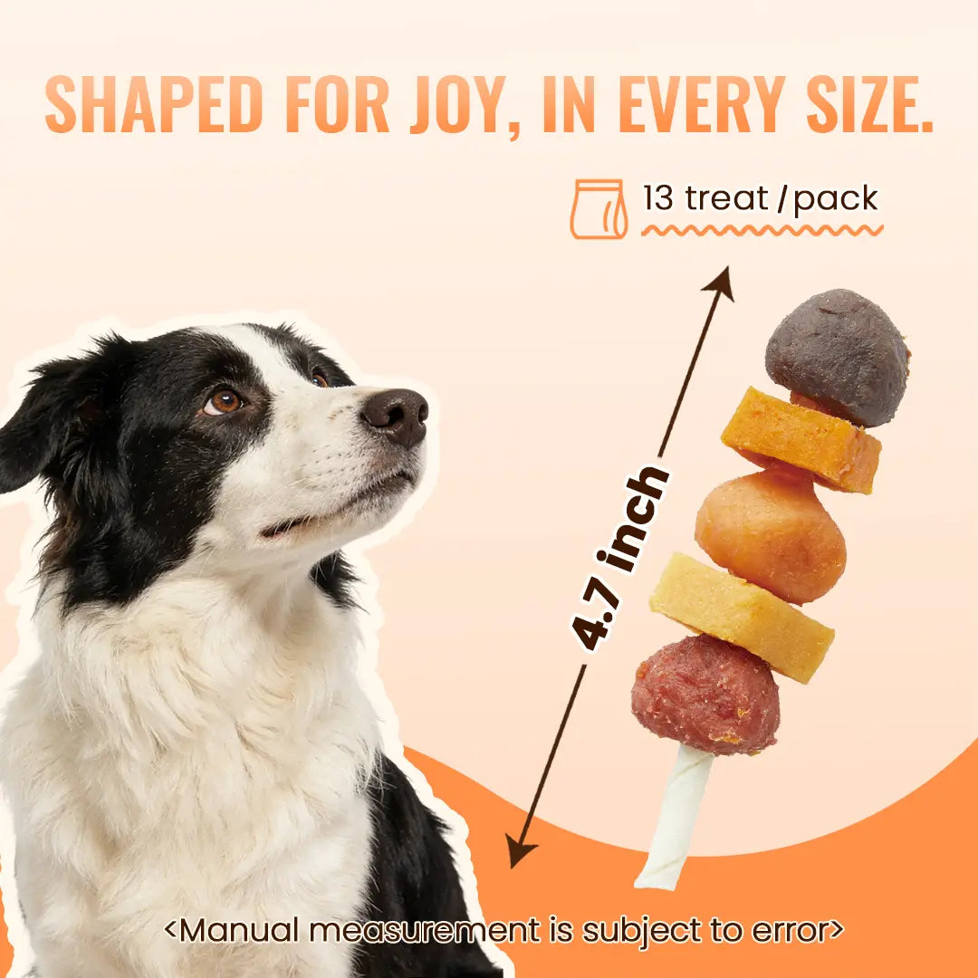 Jungle Calling Multi-Flavor Dog Kabob Treats - Chicken, Duck, Beef, Sweet Potato & Pumpkin - Buy 1 Get 1 Free Chew Sticks and Rawhide Snacks for Training and Rewards