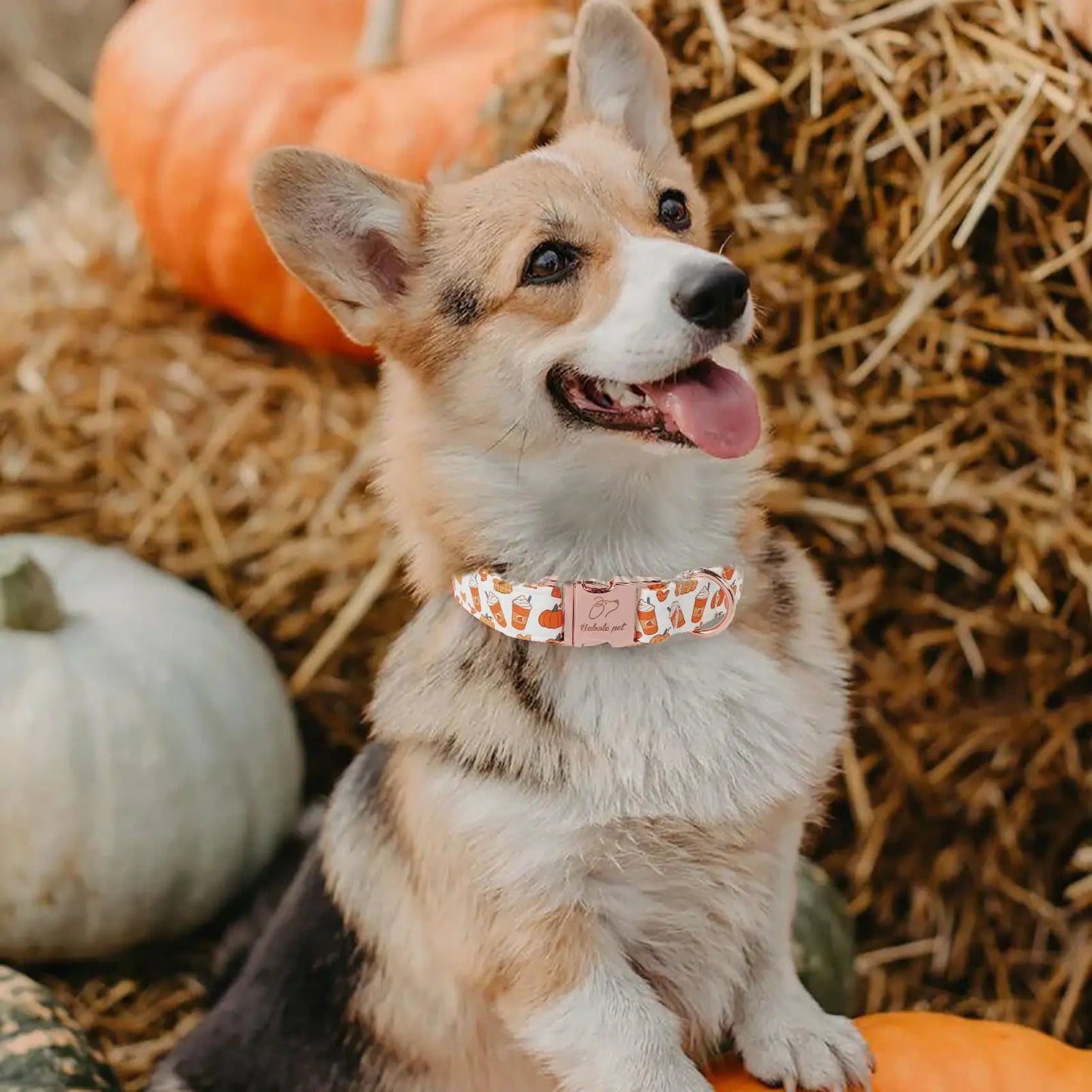 Fall Pumpkin Latte Print Adjustable Heavy-Duty Small Dog Collar with Metal Buckle, XS Size